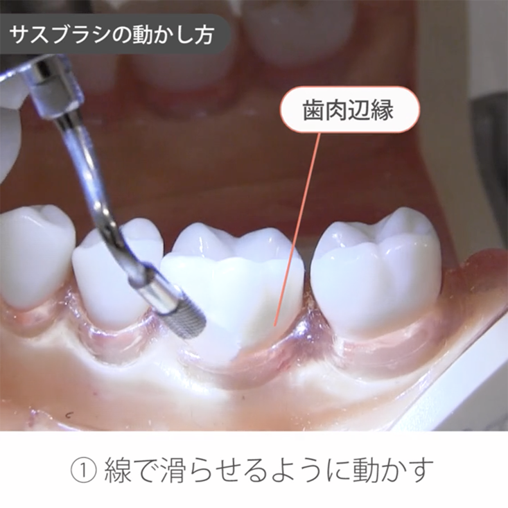 サスブラシ~基礎編~